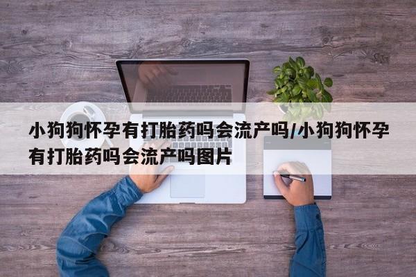 米非司酮哪个网上药店小狗狗怀孕有打胎药吗会流产吗/小狗狗怀孕有打胎药吗会流产吗图片