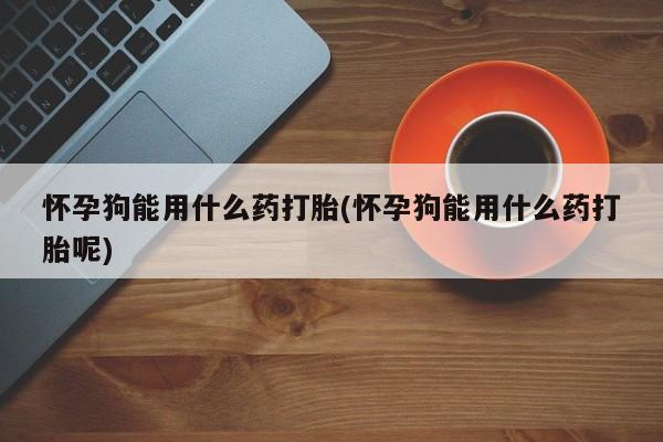 米非司酮哪个网上药店怀孕狗能用什么药打胎(怀孕狗能用什么药打胎呢)